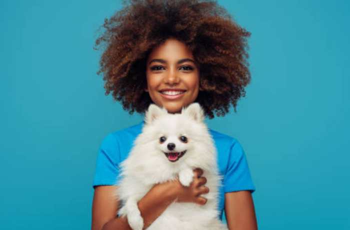 귀여운 강아지의 꿈