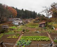 농민수당 신청 자격 및 신청 방법