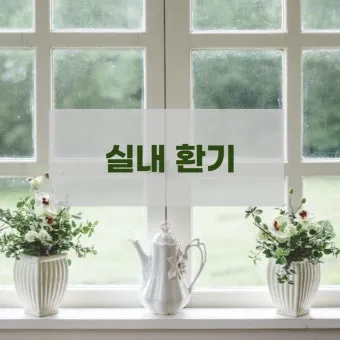 실내화분 환기 요령 미세먼지 많은날 창문관리 공기청정기 병행 팁_5