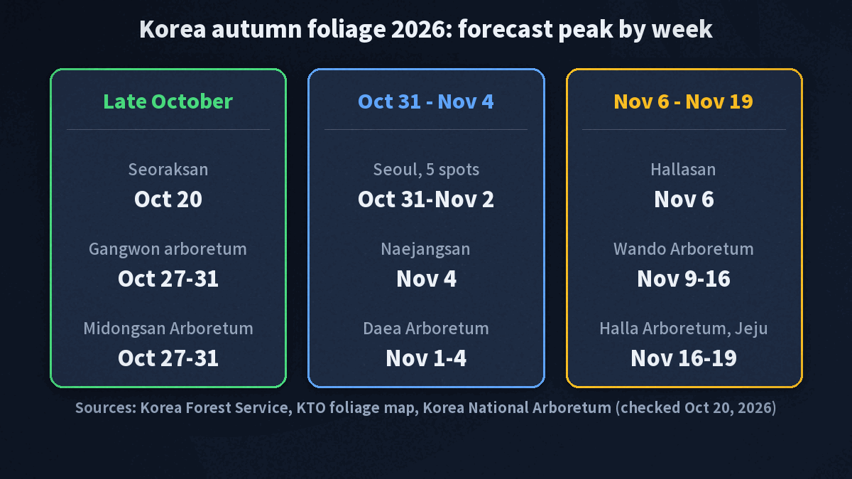 Card of Korea's 2026 forecast foliage peak by week: Seoraksan Oct 20, Gangwon arboretum and Midongsan Arboretum Oct 27 to 31, Seoul Oct 31 to Nov 2, Naejangsan Nov 4, Daea Arboretum Nov 1 to 4, Hallasan Nov 6, Wando Arboretum Nov 9 to 16, Halla Arboretum in Jeju Nov 16 to 19
