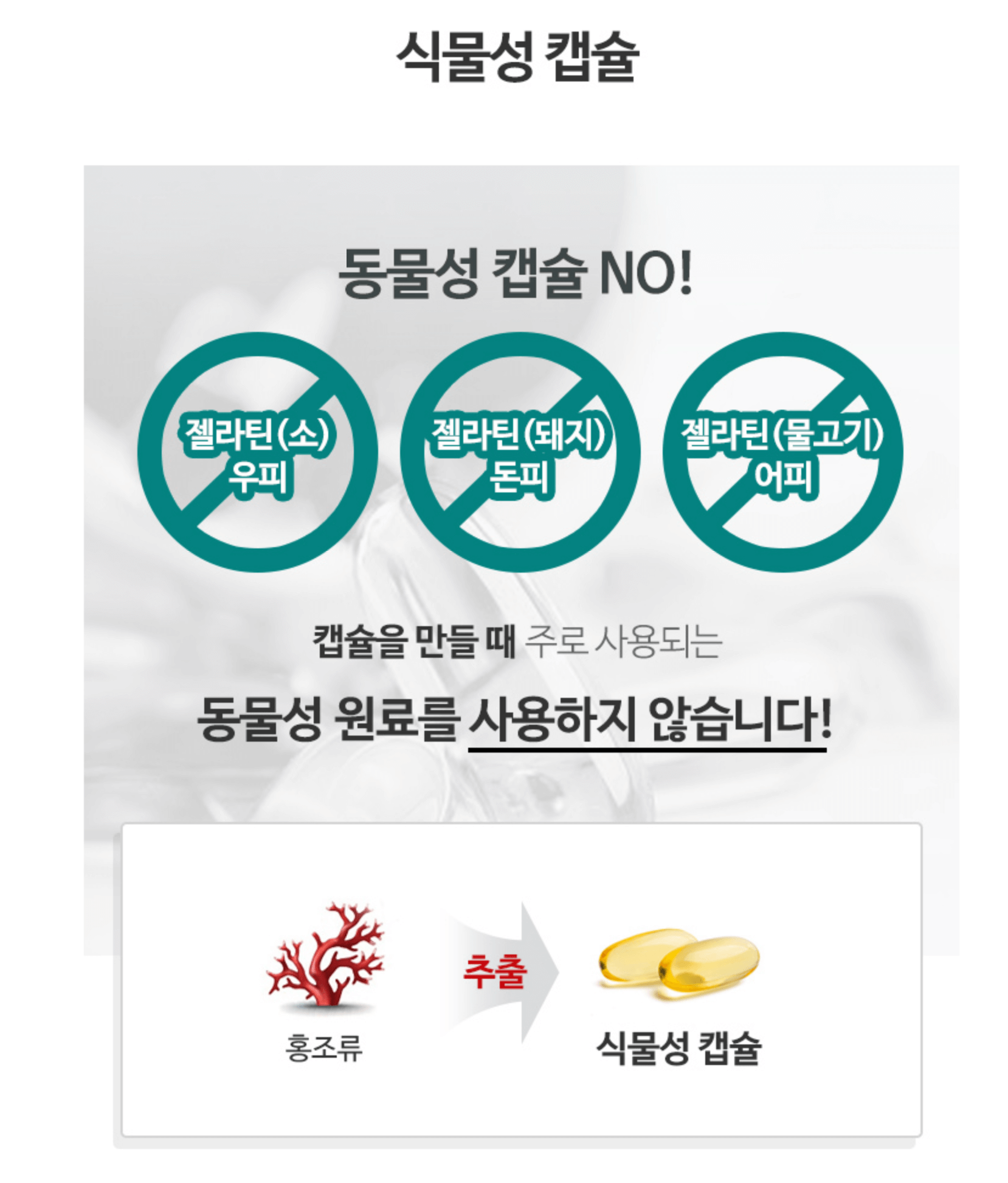 식물성 캡슐