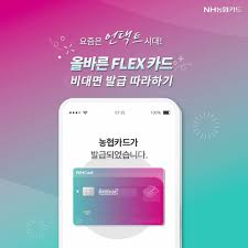 2025년 실적 없는 신용카드 추천: 조건 없이 혜택 받는 카드 총정리