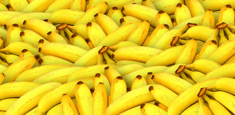 생리통에 좋은 음식 사진 - 16