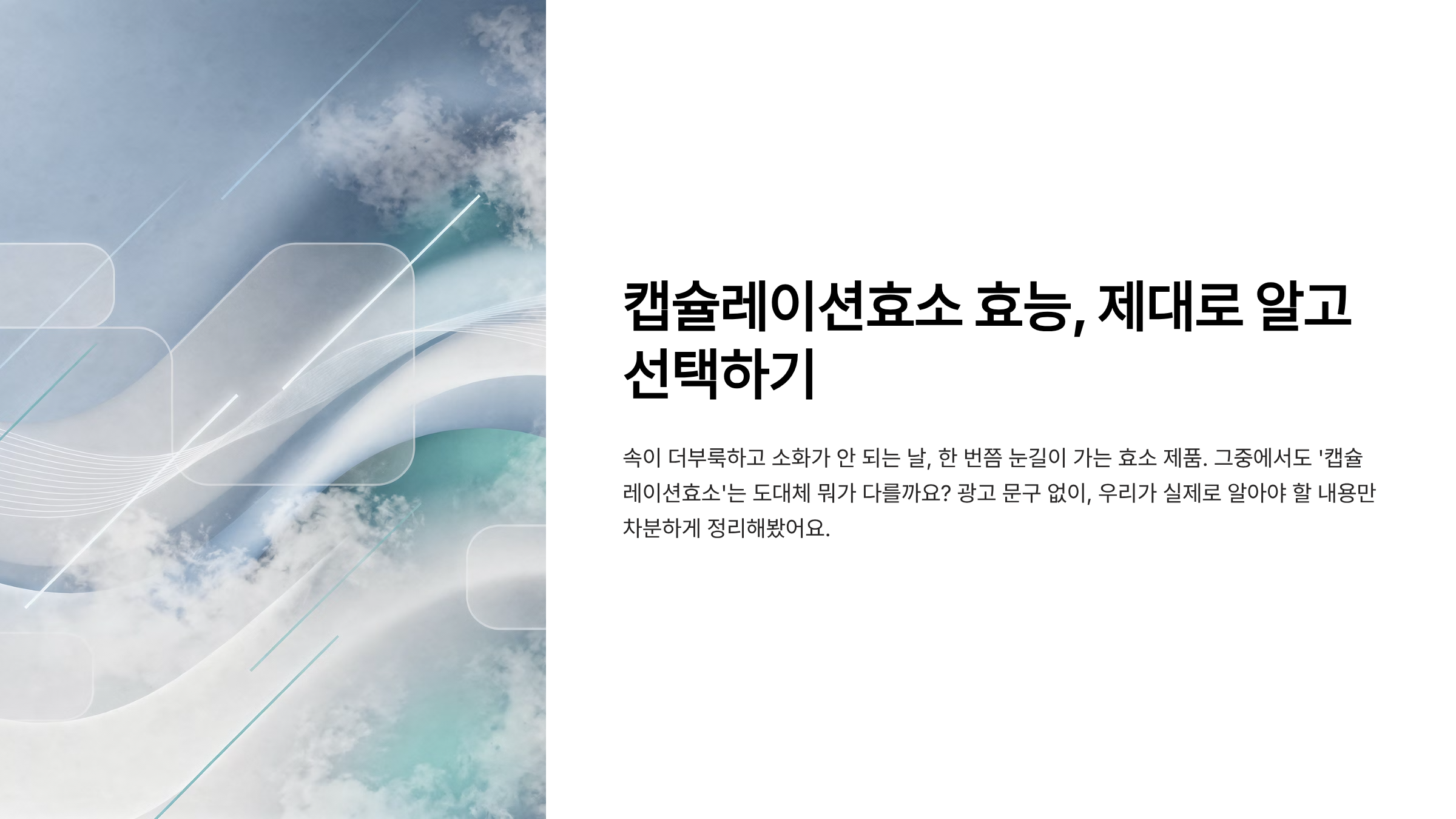 캡슐레이션효소 효능