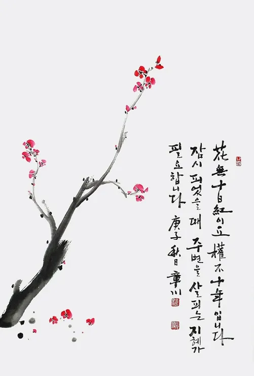 화무십일홍 뜻과 화무십일홍 권불십년 花無十日紅 자료집_7