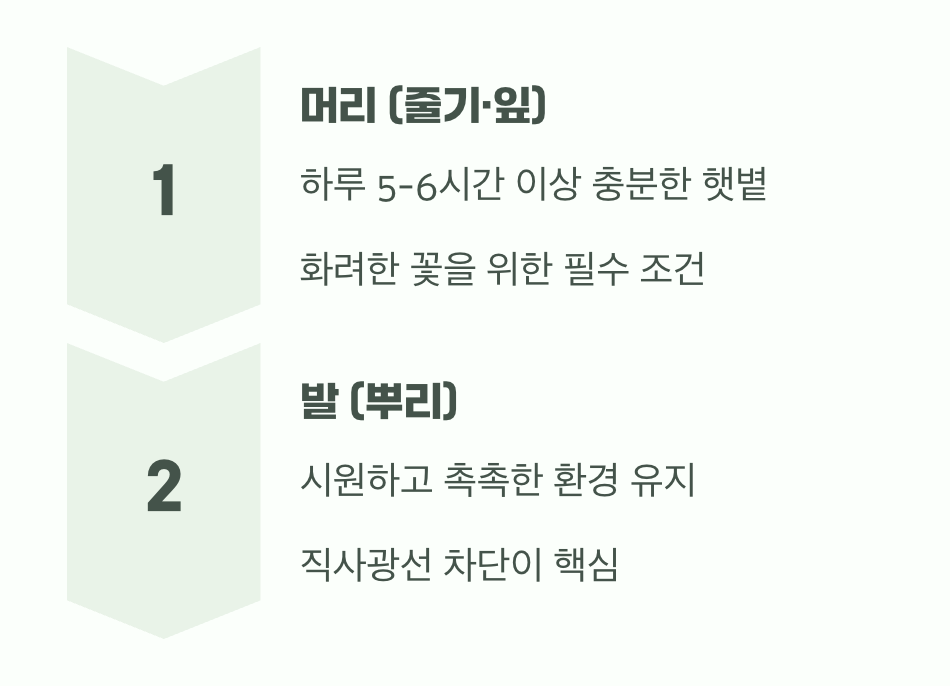 &amp;quot;머리는 뜨겁게&amp;#44; 발은 시원하게&amp;quot;