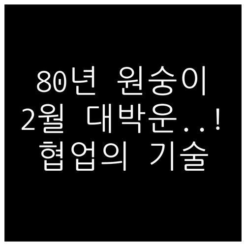 1980년생 원숭이띠 2월 생활 운세..