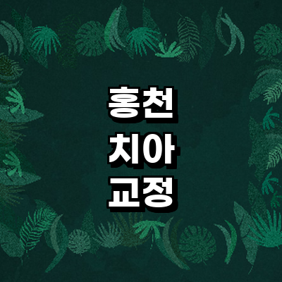 홍천군 교정 치과