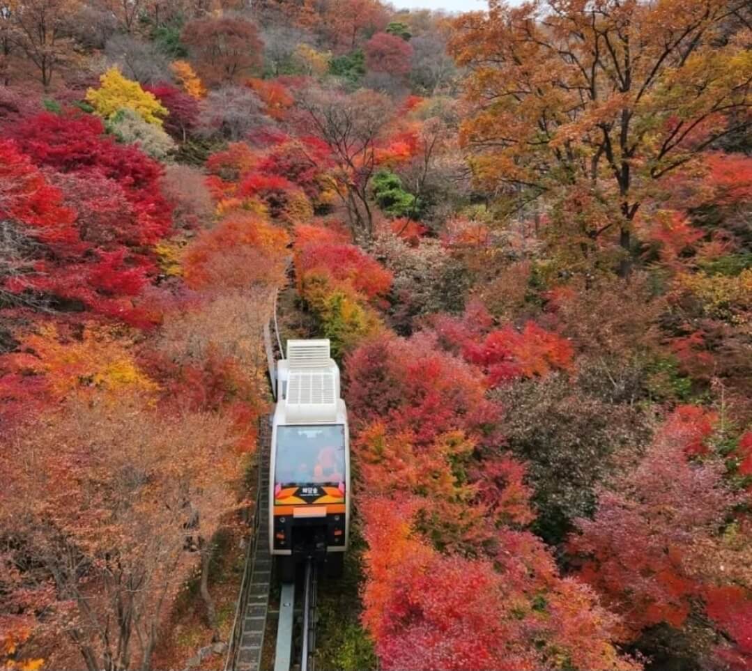 화담숲 단풍 시즌과 성수기 일정