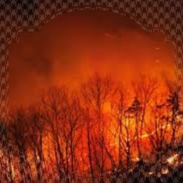 경북 산불 재난지원금 신청방법