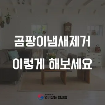 곰팡이 냄새 빨래통 환기와 햇빛 건조 베이킹소다 뿌리기_18