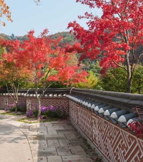 2025 화담숲 봄 수선화 축제