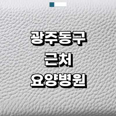 광주 동구 요양병원
