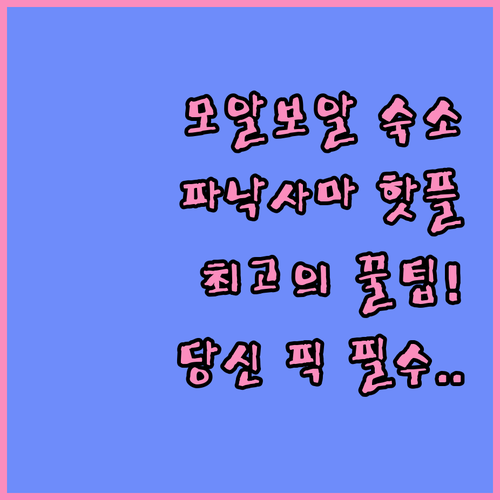 당신의 모알보알 휴가를 완성할 파낙사..