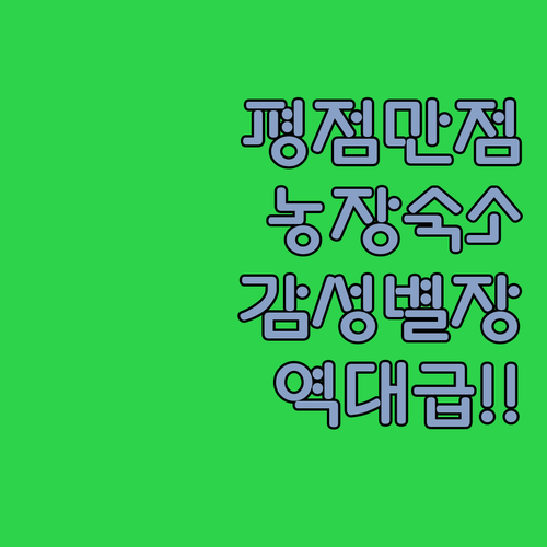 평점 만점 Witkrans 농장 숙소..