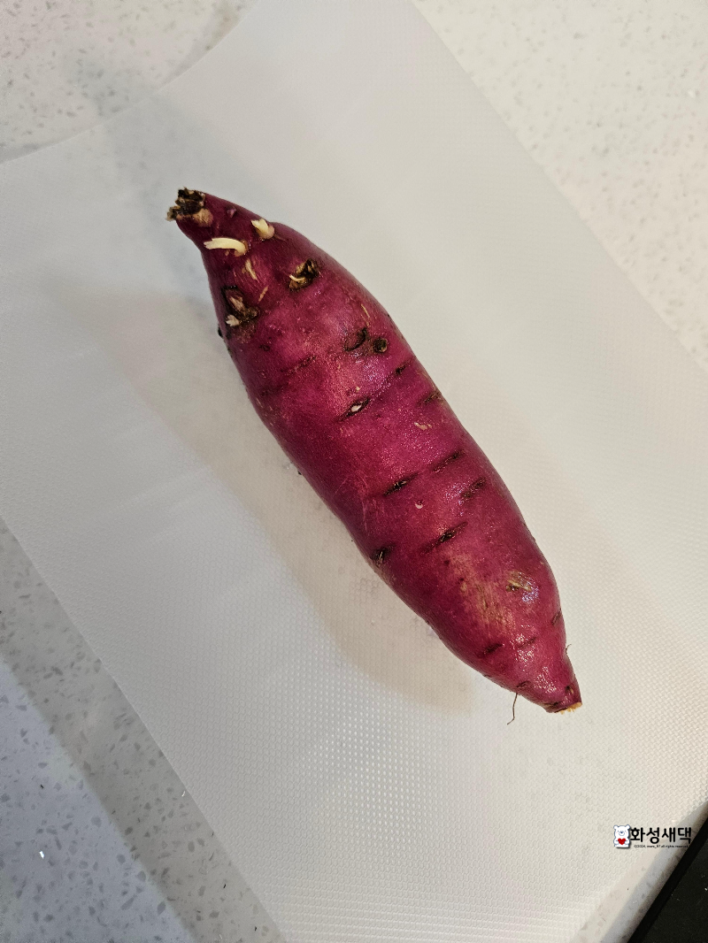 유아식-고구마죽