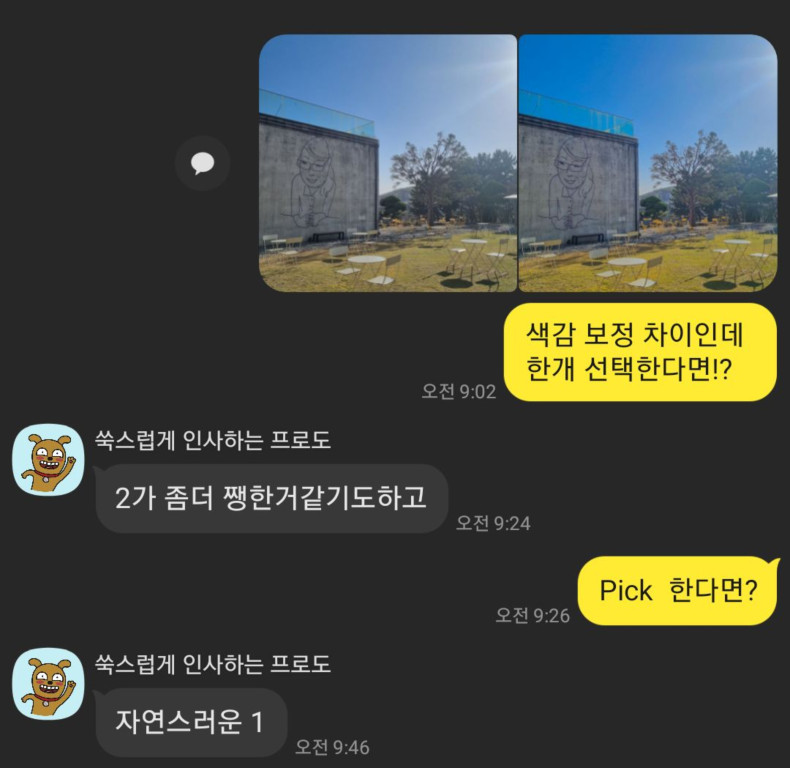 사진 비교 응답 3