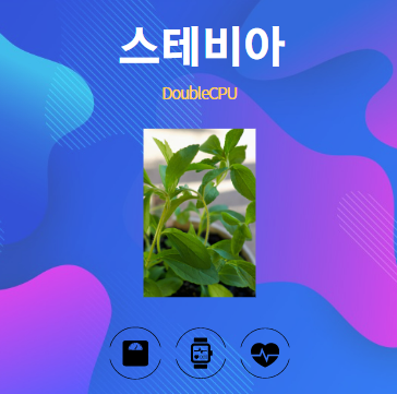 스테비아 알아보기