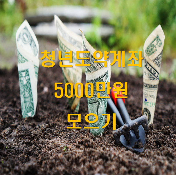 청년도약계좌