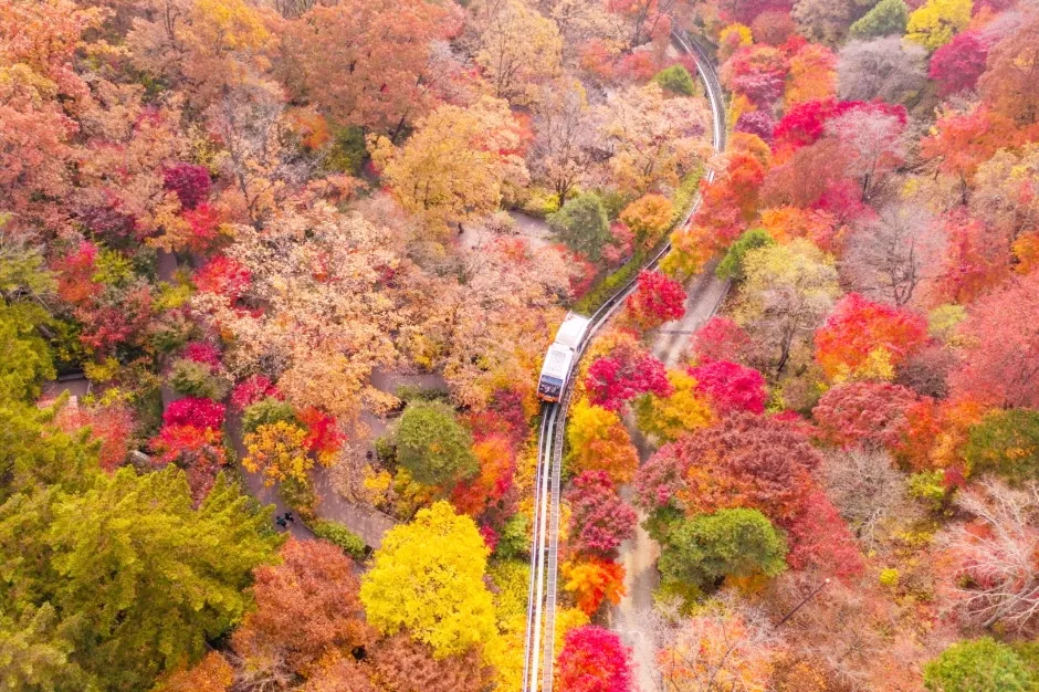 화담숲