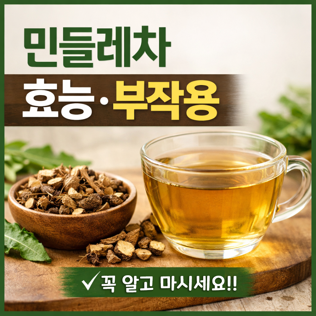 민들레차 효능 부작용 총정리
