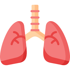 폐에 물이 차는 원인