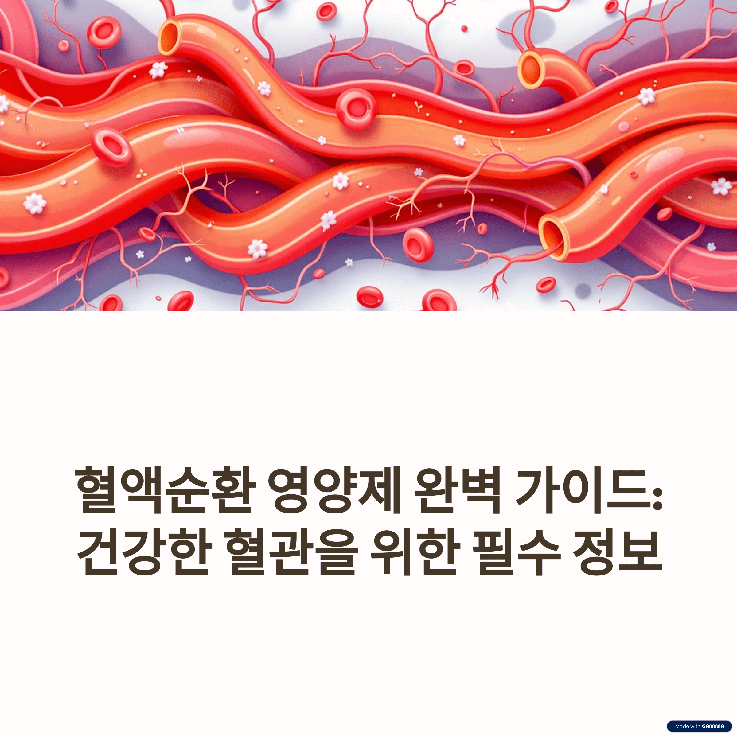 혈액순환 영양제 완벽 가이드: 효과, 추천 성분, 제품 비교 및 복용법 총정리