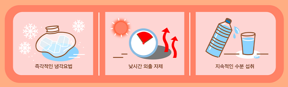 더위 먹었을 때 증상|온열질환증상 초기 대응법