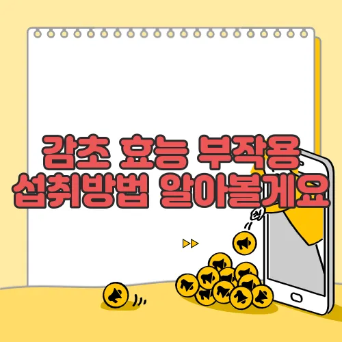 감초 효능 부작용 섭취방법 알아볼게요