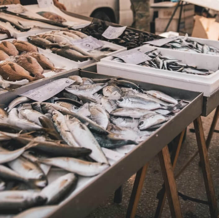 대한민국-수산대전-수산시장-생선-사진