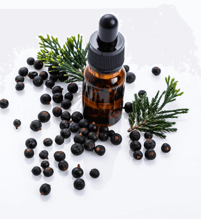 주니퍼베리 (Juniper Berry) 오일