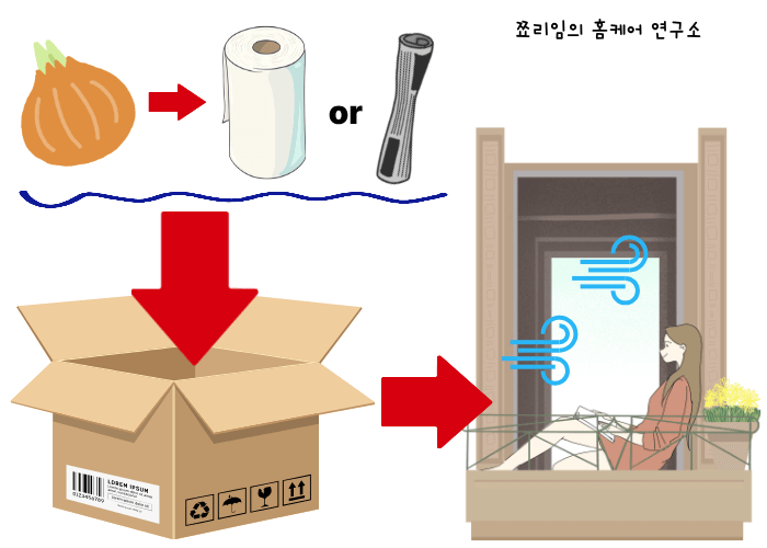 양파 보관 옳은 방법