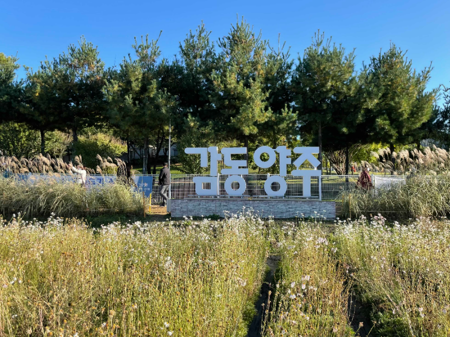 양주 나리농원 꽃 축제