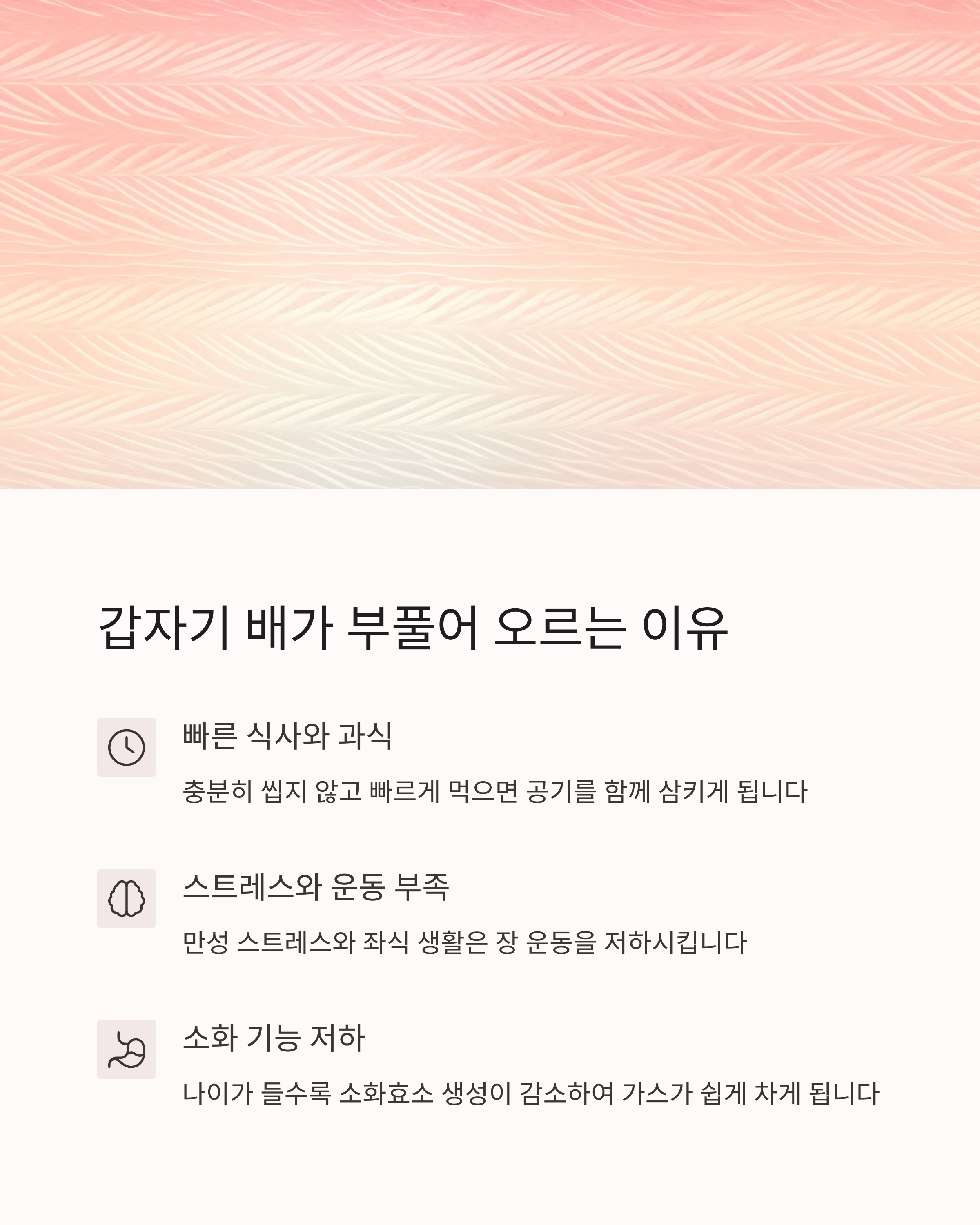 배에 가스 빼는법 술방울 열매 효능