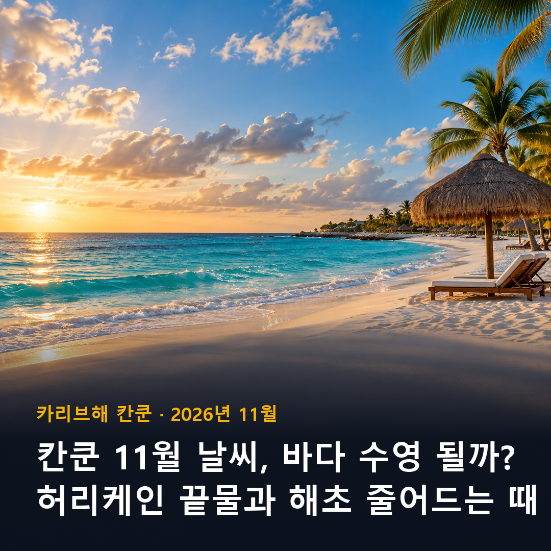 칸쿤 11월 날씨 카리브해 해변과 야자수