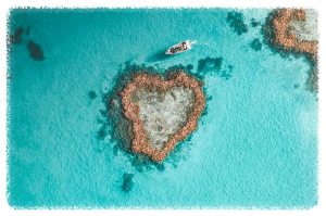 해밀턴 아일랜드