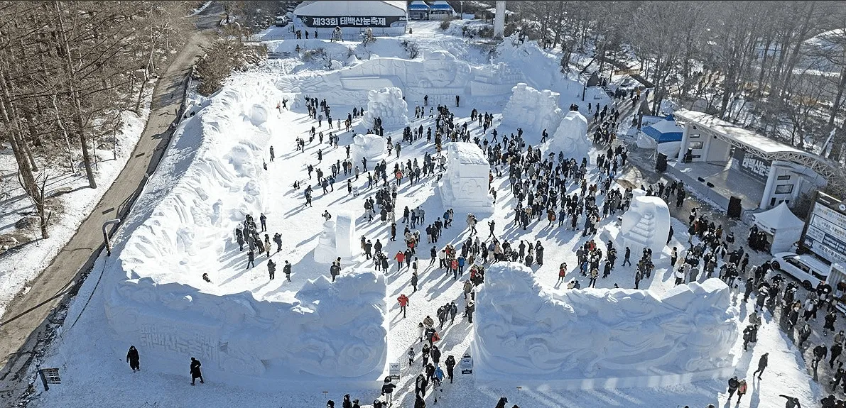 태백산 눈축제 2026 입장료 & 주차비 비용 안내