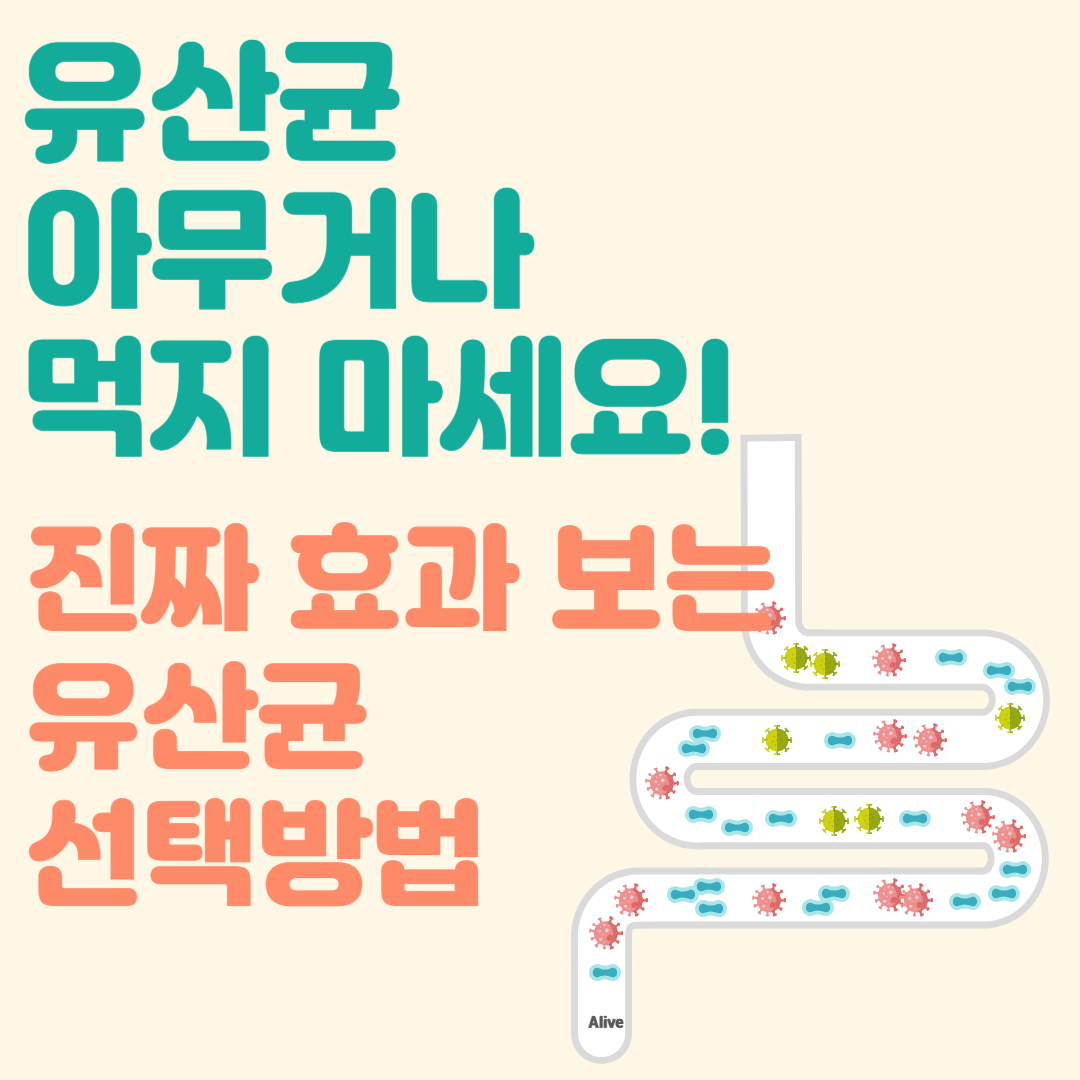 유산균-추천