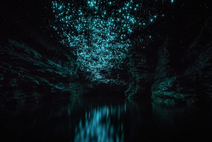 뉴질랜드 신혼여행