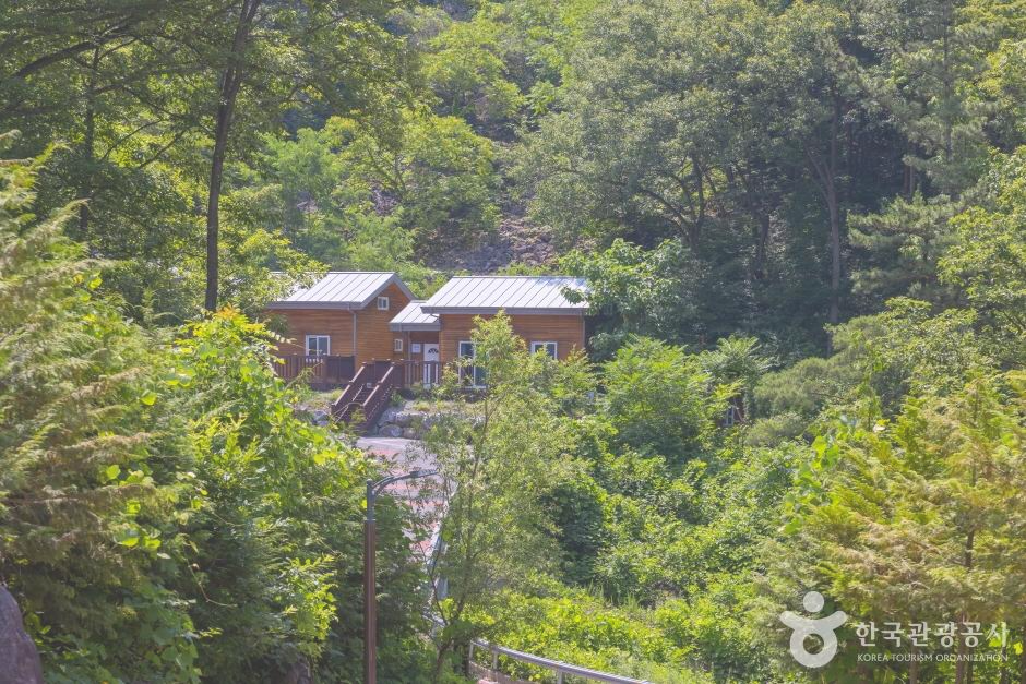 국립 칠곡 숲체원