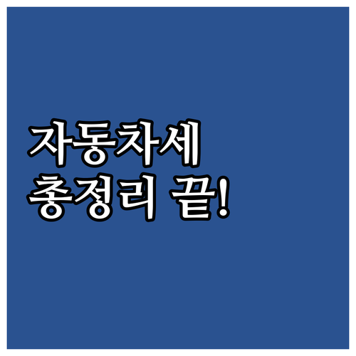 필독! 장애인 자동차세 감면 총정리:..
