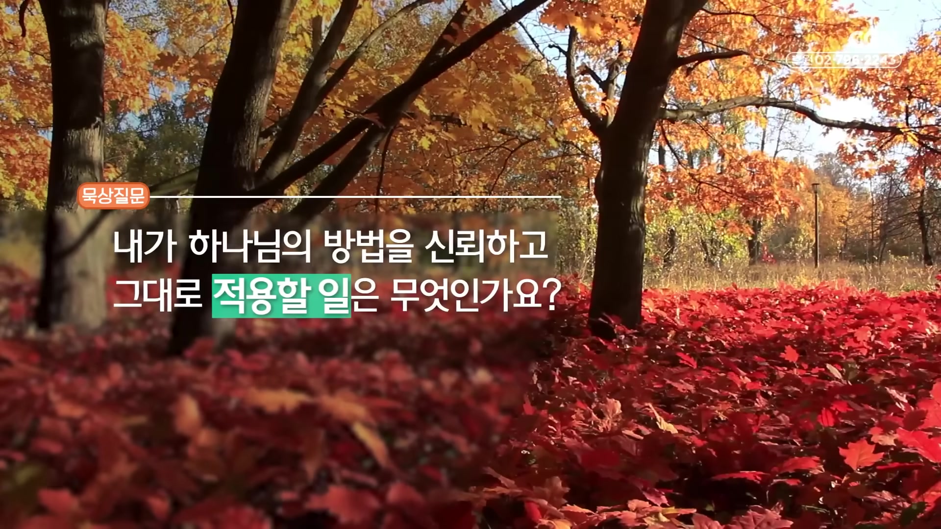 내가 하나님의 방법을 신뢰하고 그대로 적용할 일은 무엇인가요?