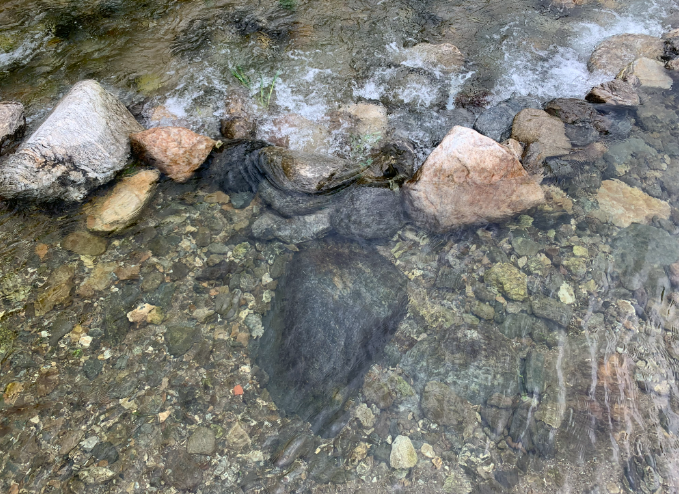 경기-가평-홀리데이-캠핑장-사진-입니다.