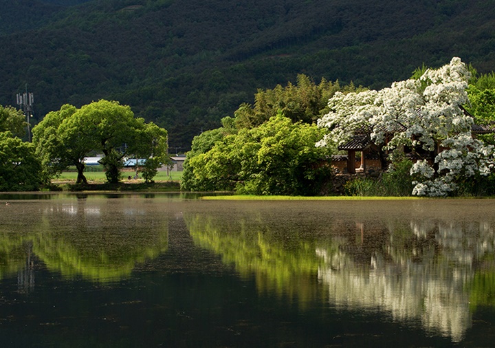 밀양 가볼만한곳