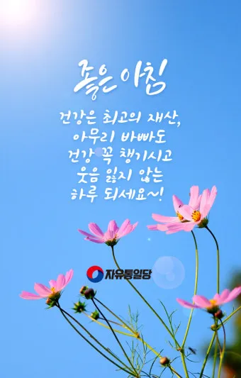 아침 인사 문자 날씨 변화에 맞춘 안부 문장 하루를 여는 표현_19