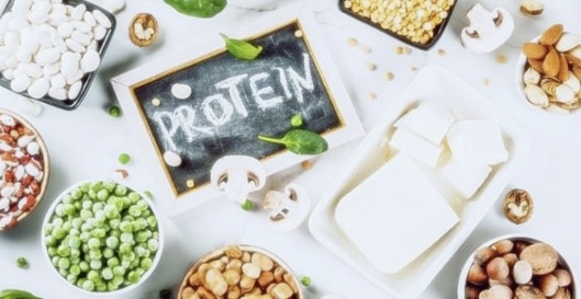 식물성단백질과 대체육 이미지