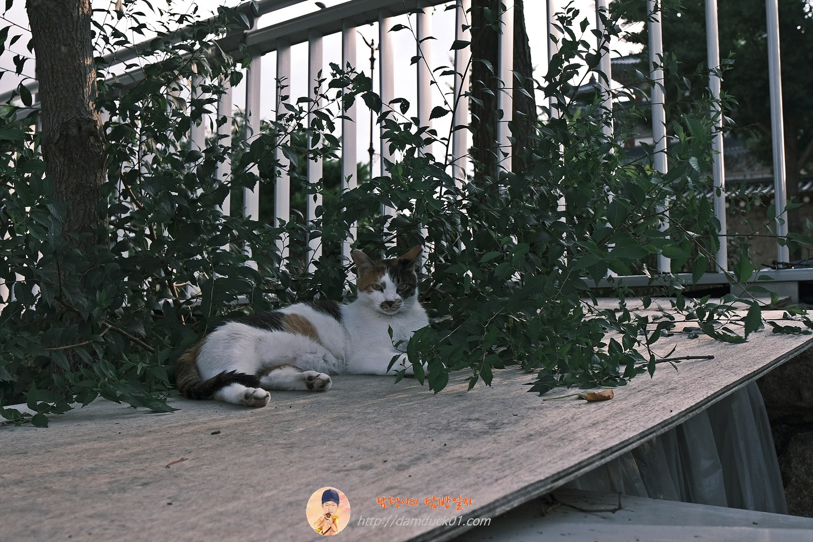 2024년 7월 삼청동