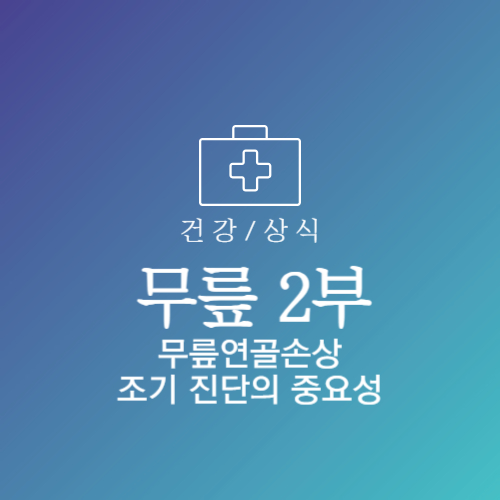 무릎 연골 손상 증상 원인 치료 방법