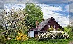 이사 체크리스트