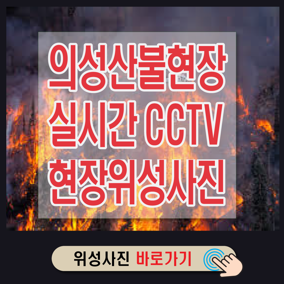 의성산불 CCTV 위성으로 본 현장-썸네일